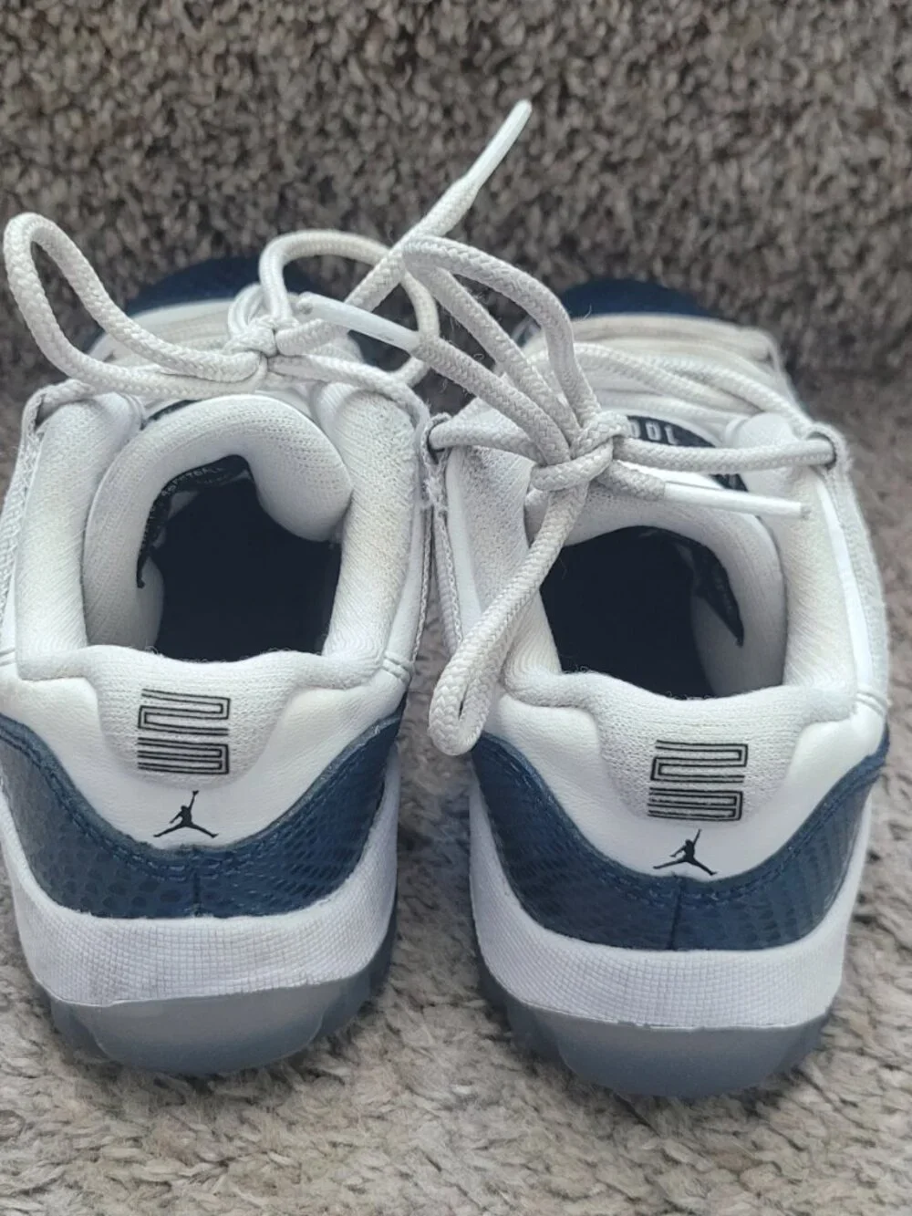 Jordan 11 snakeskin
